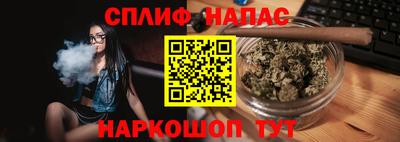 apvp Бердск