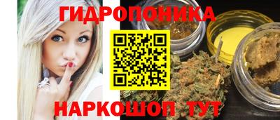 apvp Бердск