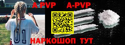 apvp Бердск