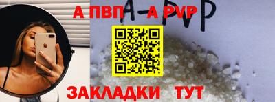 apvp Бердск